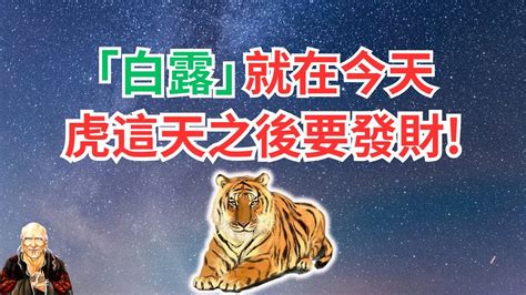 生肖屬虎|生肖虎：屬虎2024年運勢及運程，2024年屬虎人的全年每月運勢。